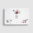 Hand Painted Notecards, Set of 12