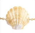 ARIEL BELT