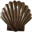 WALL SCALLOP
