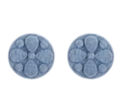 PAMINA COIN